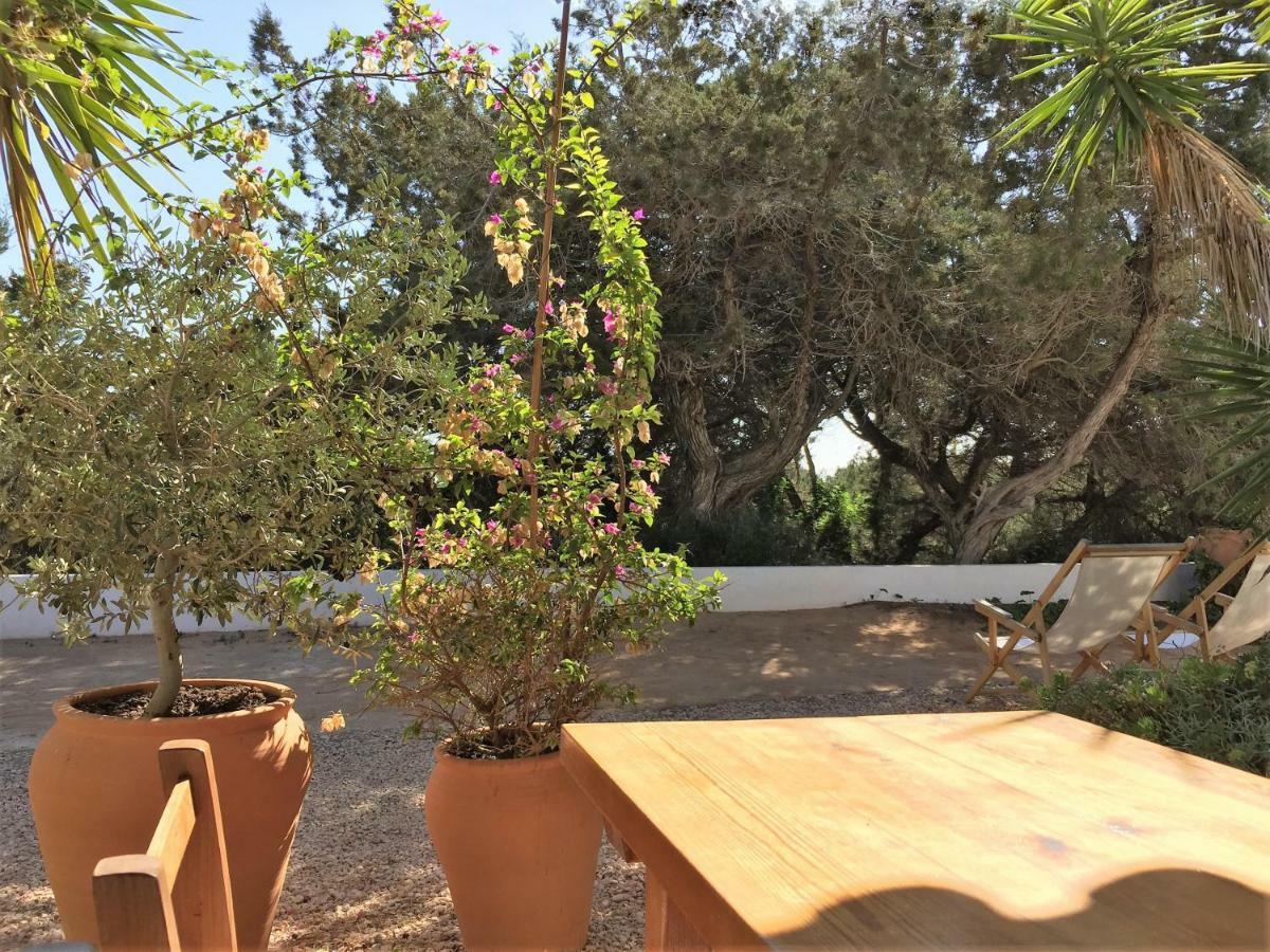 Apartamentos Laura Playa De Migjorn Exteriör bild